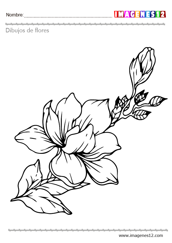 Dibujos para pintar de flores