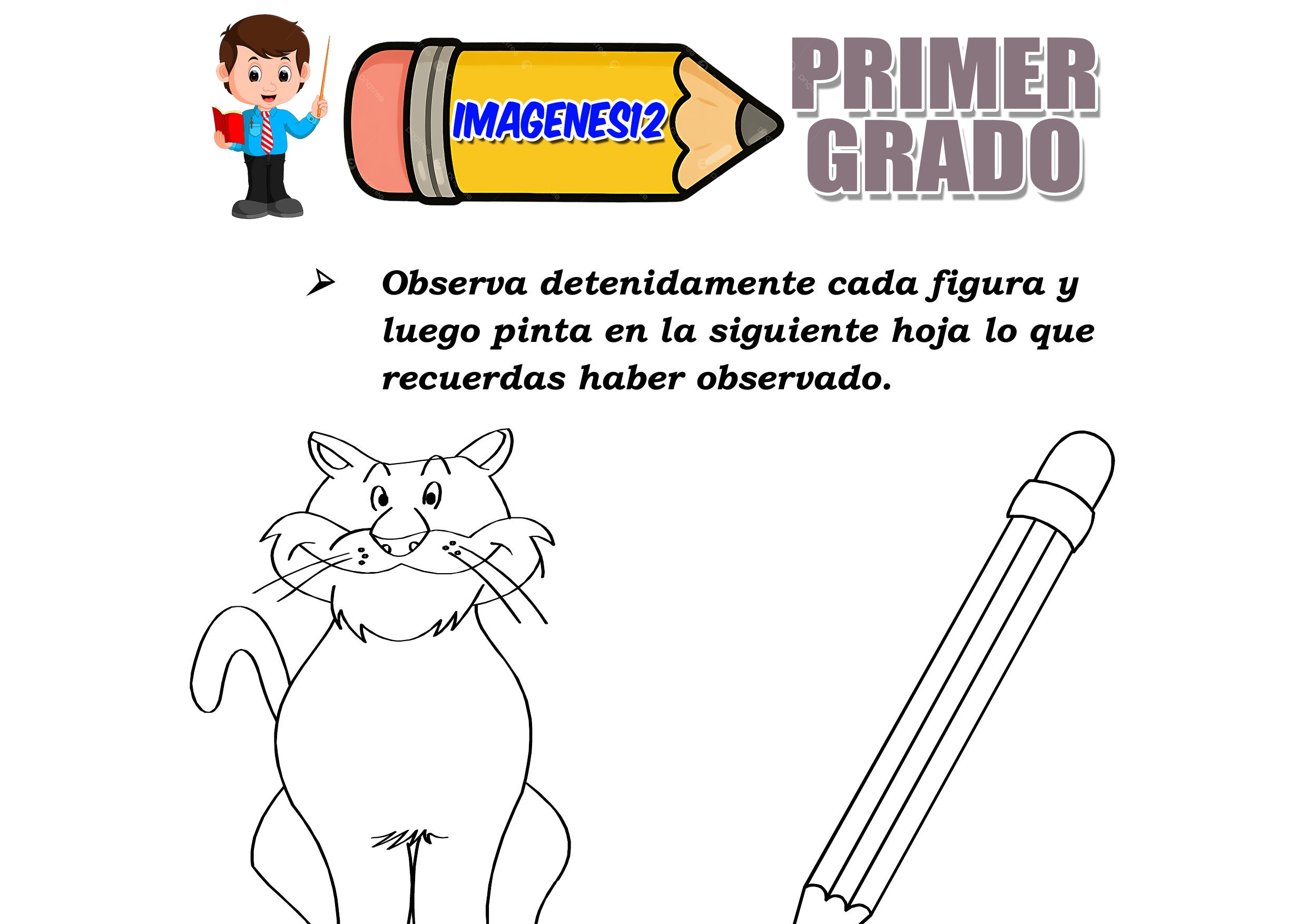 Practica la memoria visual