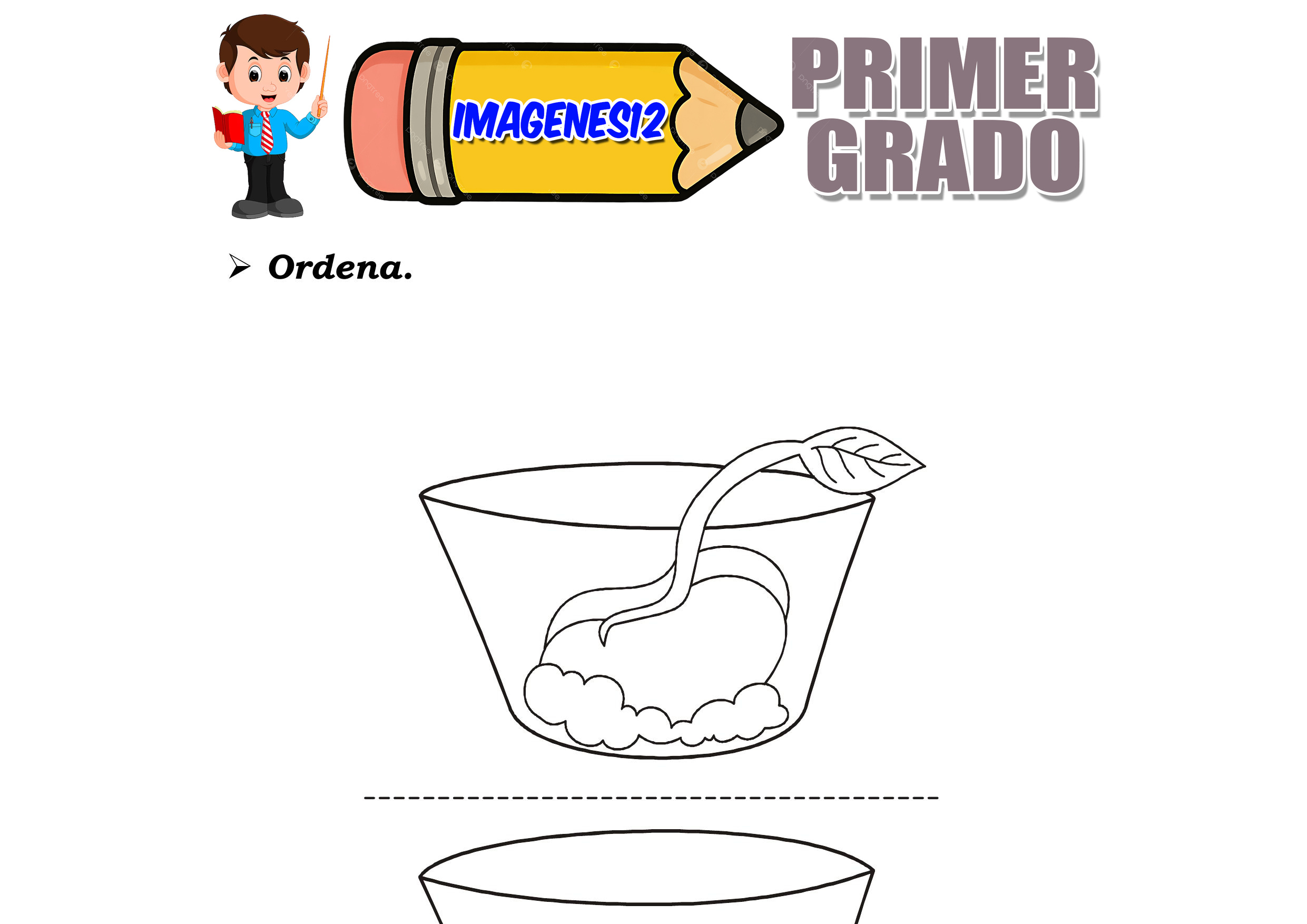 Germinación de las plantas para niños