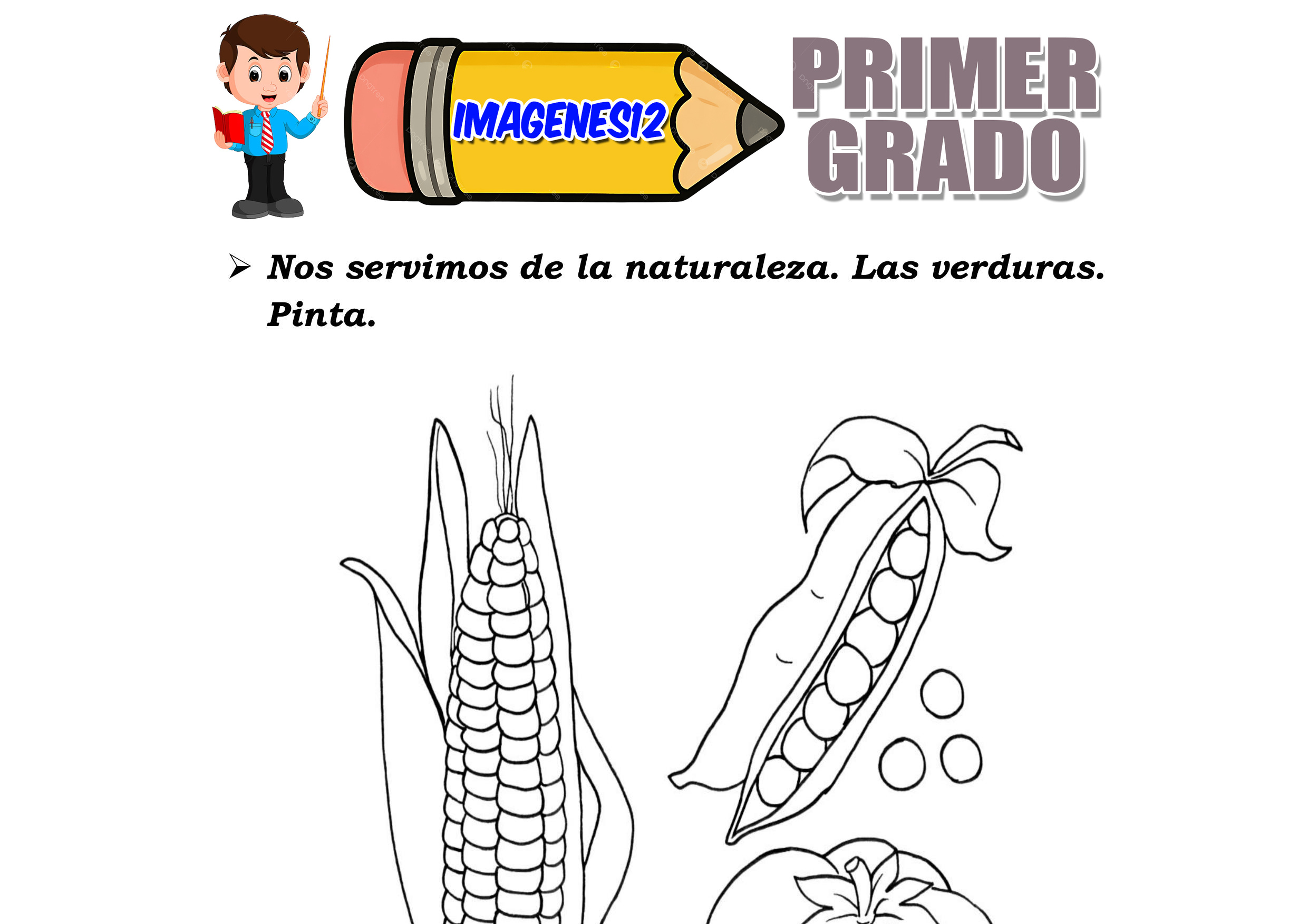 Las verduras para niños