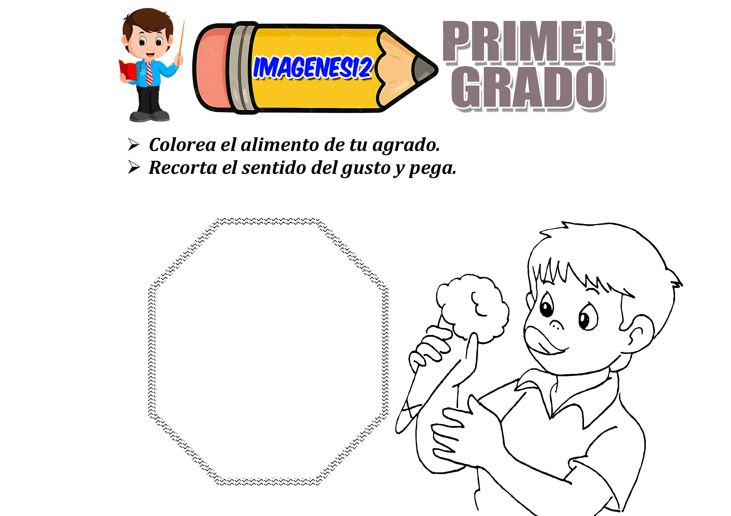 Los cinco sentidos para niños