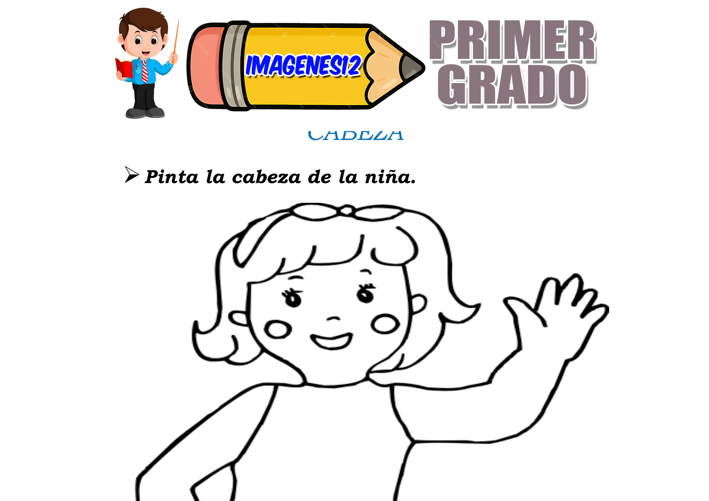 Partes del cuerpo humano para niños