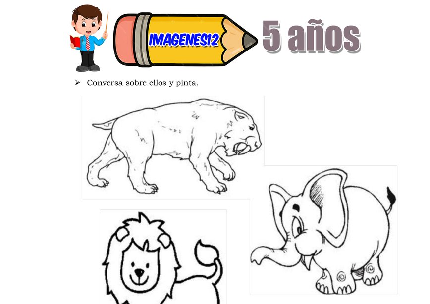 Animales salvajes fichas didácticas