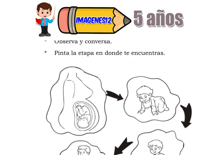 Ciclo de vida del hombre aprendizaje básico