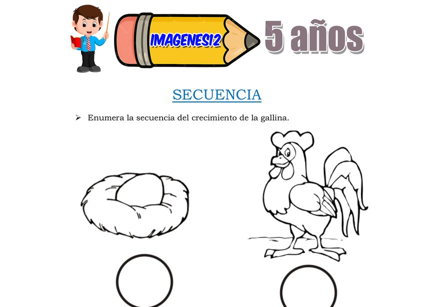 Ciclo vital de los animales fichas educativas