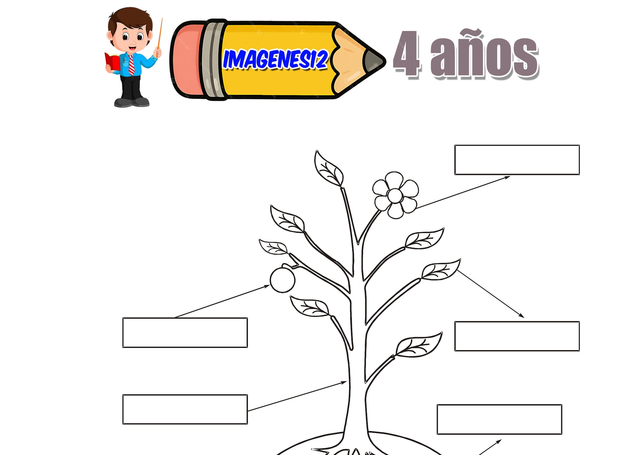 Dulce y Salado Niños