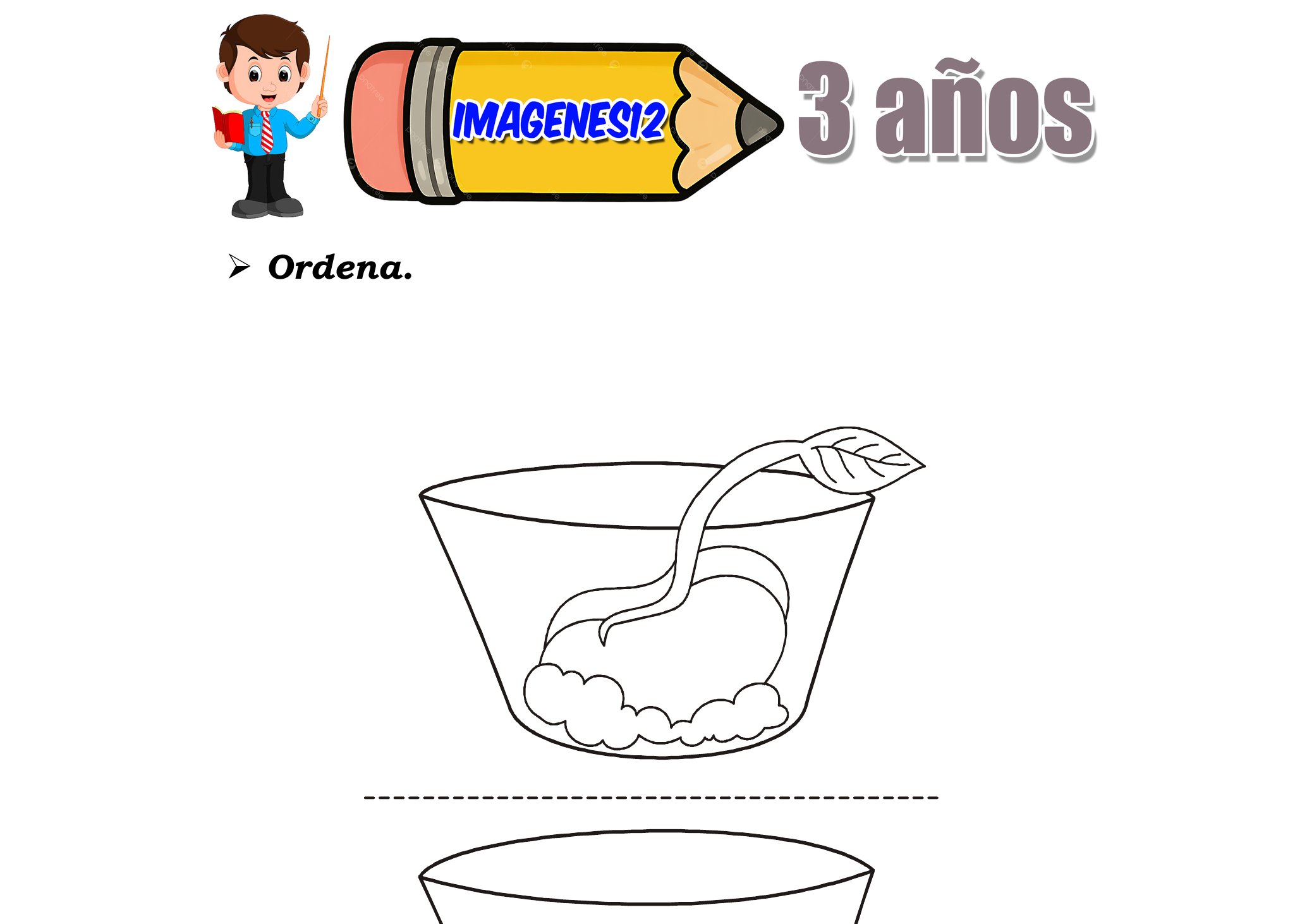 Germinación de las plantas para niños