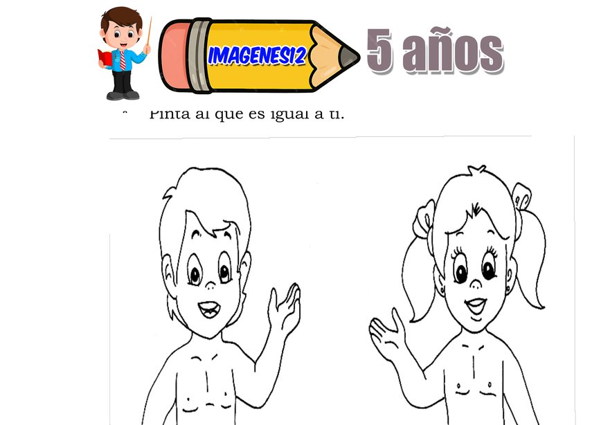 Identidad sexual desarrollo personal