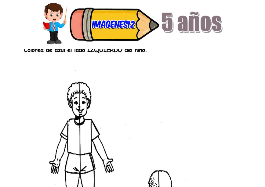 Lateralidad actividad