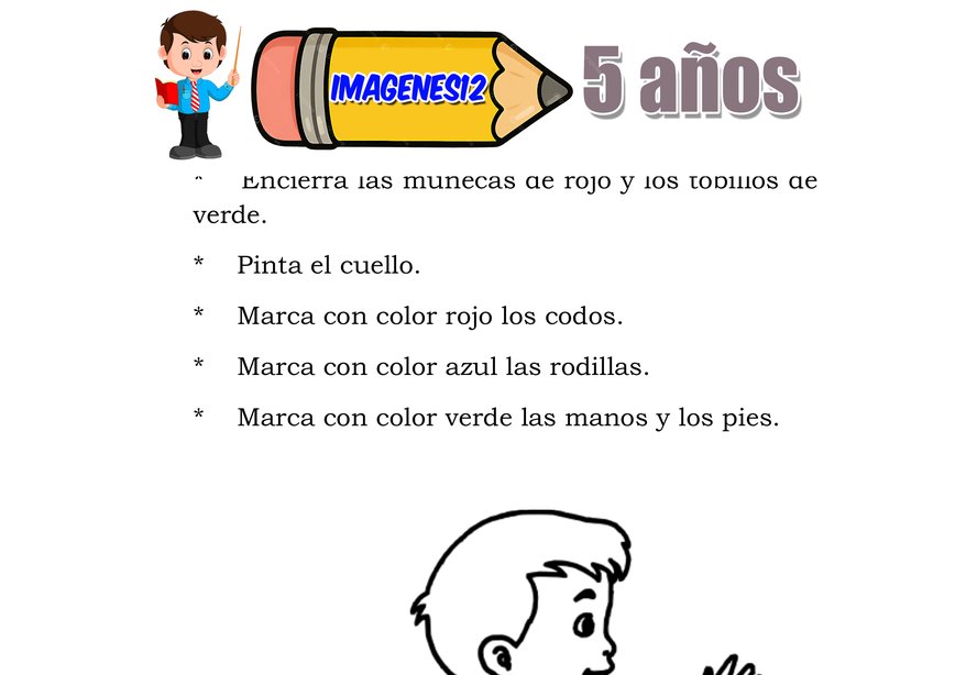 Partes finas del cuerpo motricidad