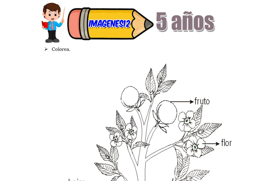 Plantas aprendizaje inicial