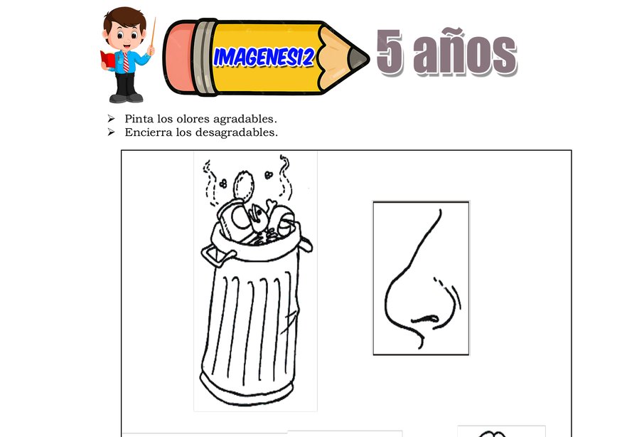 Sentido del oído audición